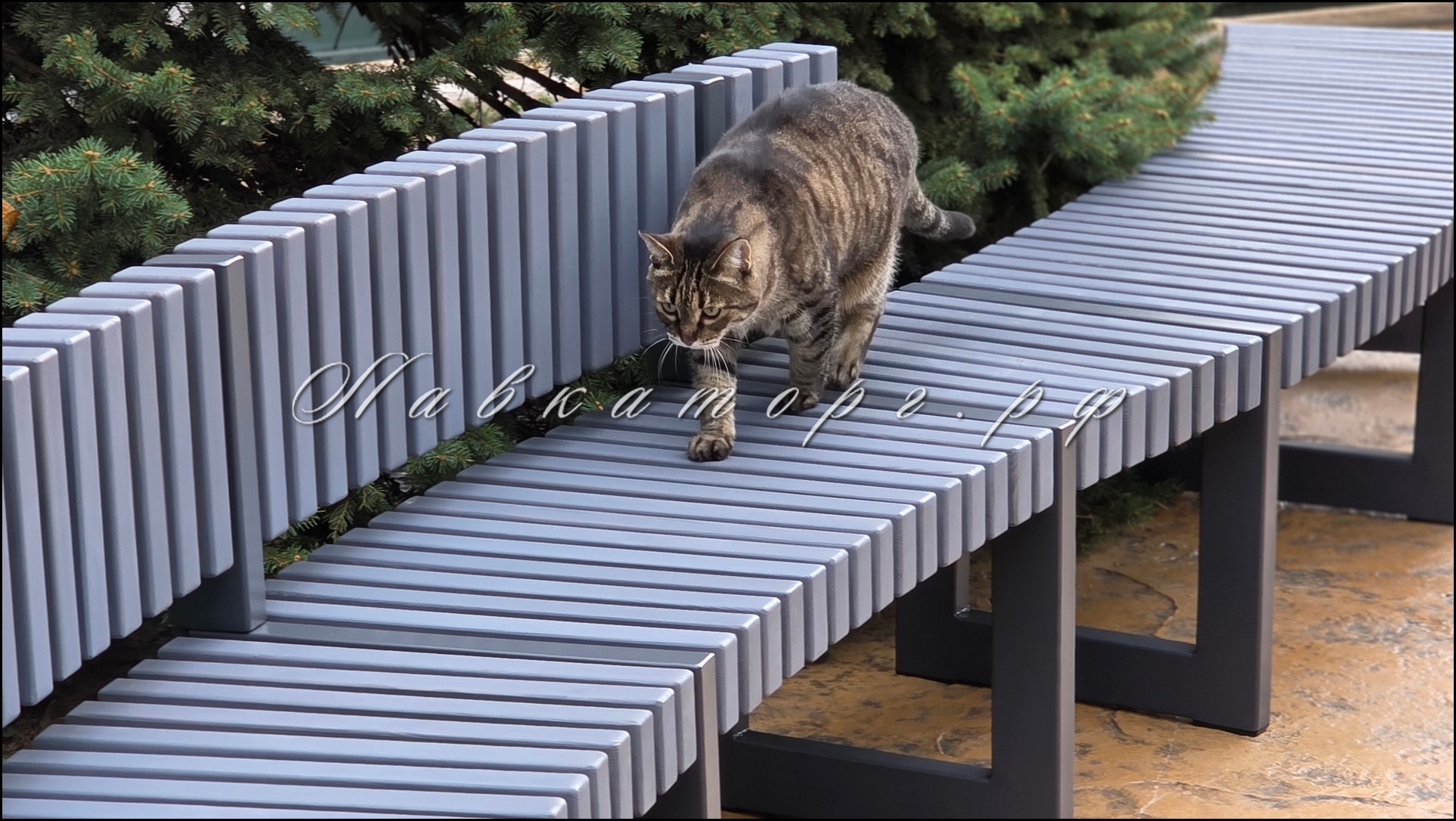 Радиусные скамейки